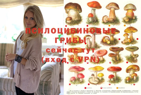 альфа пвп Белокуриха